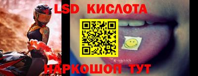 мяу мяу мука Будённовск