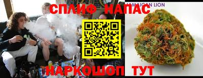 мяу мяу мука Будённовск