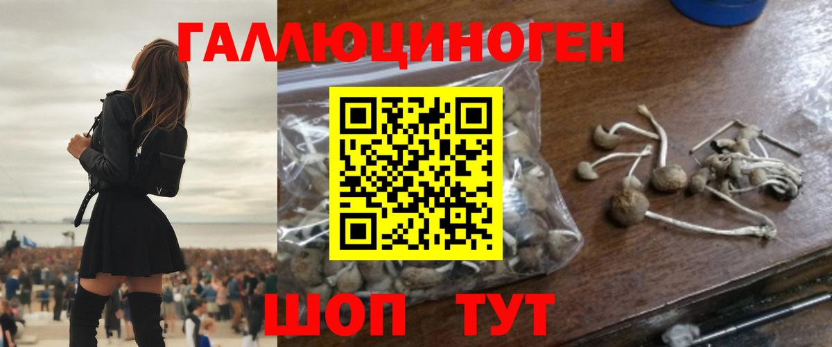 Псилоцибиновые грибы ЛСД  купить  сайты  Коммунар  Вход с VPN 